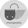 icon-changeable